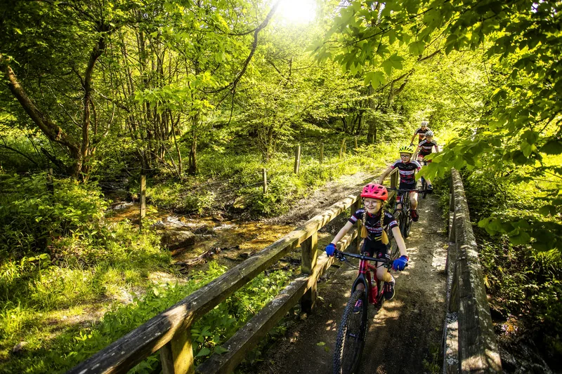 Kinder fahren mit dem Rad über einen Holzsteg durch grünen Wald