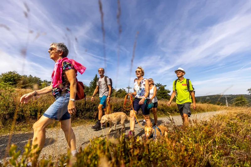 Eine Wandergruppe mit Hund auf einem Weg durch die Hochheide bei Willingen