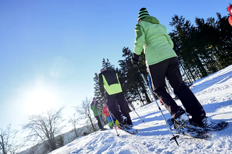 Schneeschuhwanderer steigen einen verschneiten Hang bei Willingen hinauf